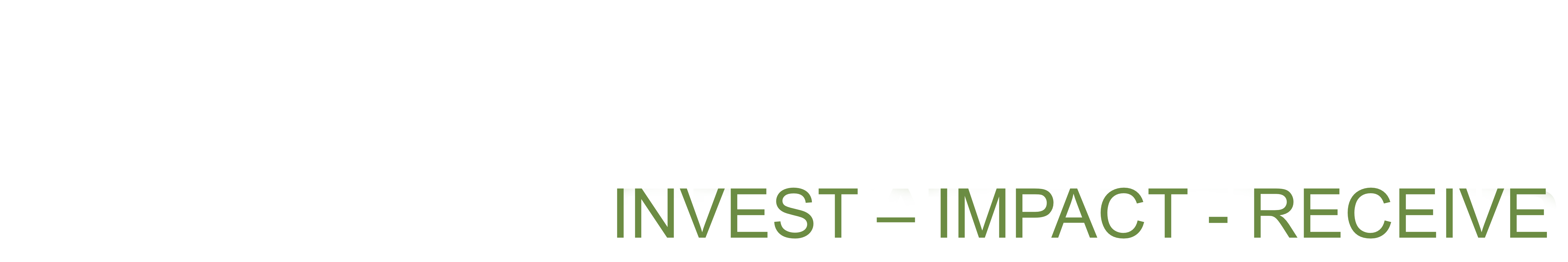Norfolk Investor